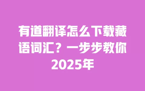 有道翻译怎么下载藏语词汇?一步步教你2025年 一