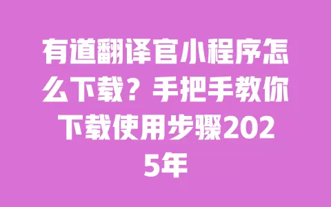 有道翻译官小程序怎么下载?手把手教你下载使用步骤2025年 一