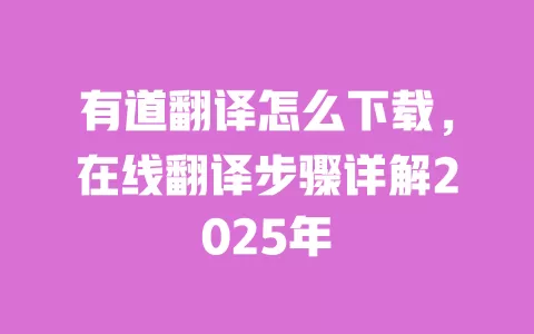 有道翻译怎么下载,在线翻译步骤详解2025年 一
