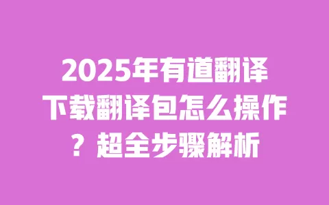 2025年有道翻译下载翻译包怎么操作？超全步骤解析 一